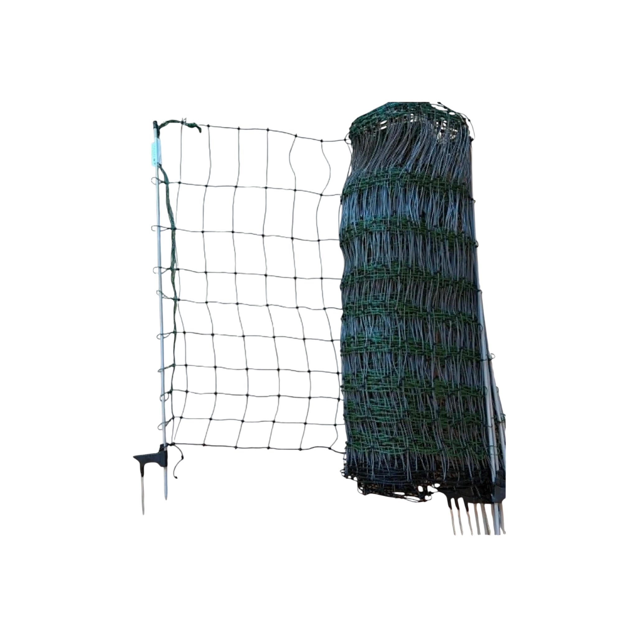 Electric Netting Poultry 10/40"/3 1/2" x 164', Green