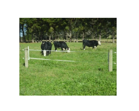 Taragate Electric Gate System