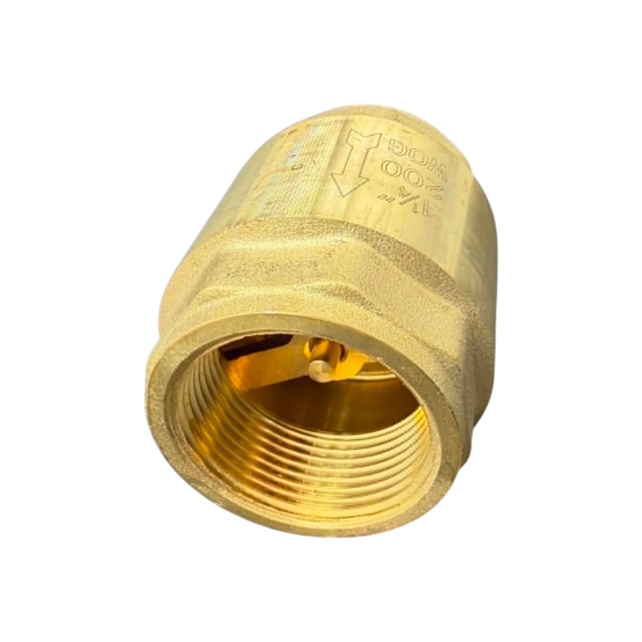Threaded Spring Loaded Check Valve Brass (Lead Free)