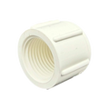 PVC - Sch. 40 Female Cap