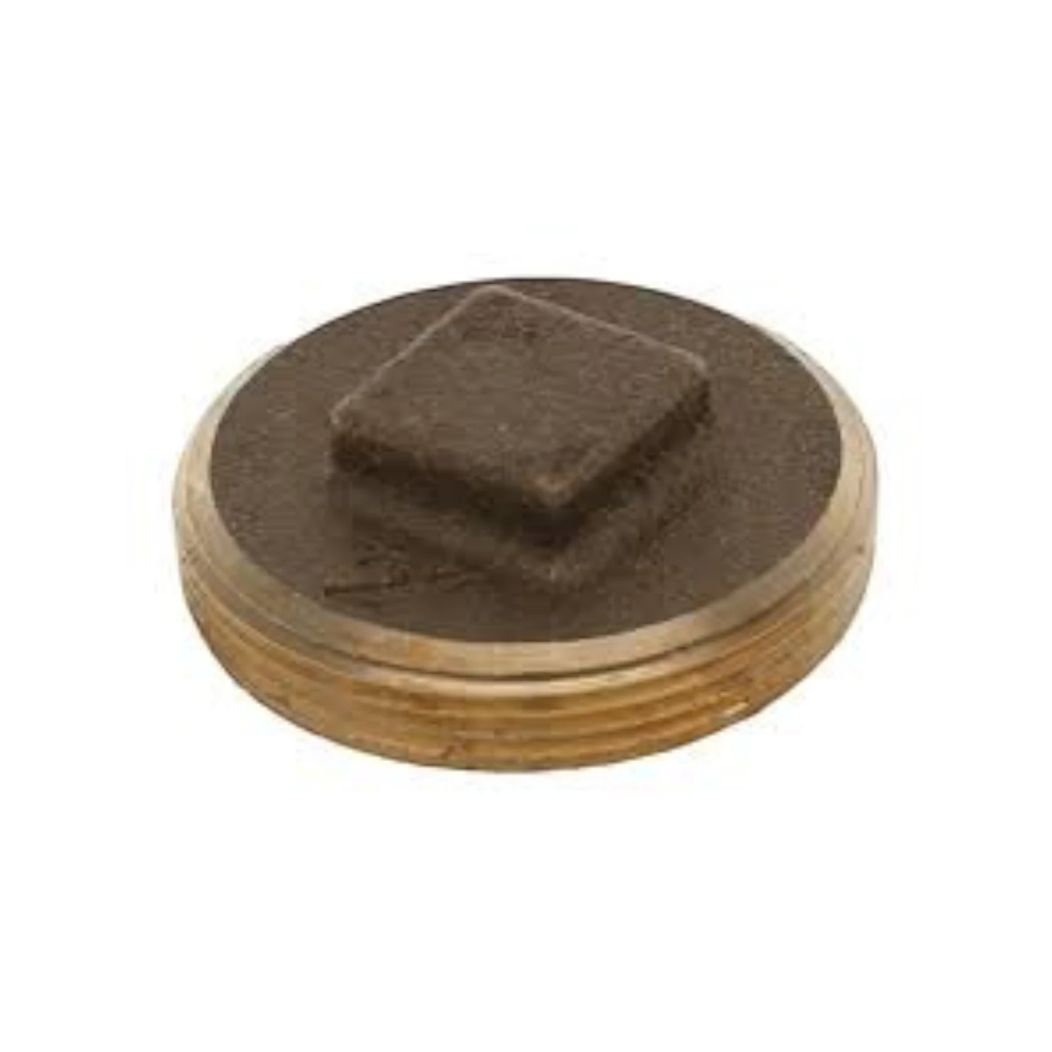 Brass Cleanout Plug