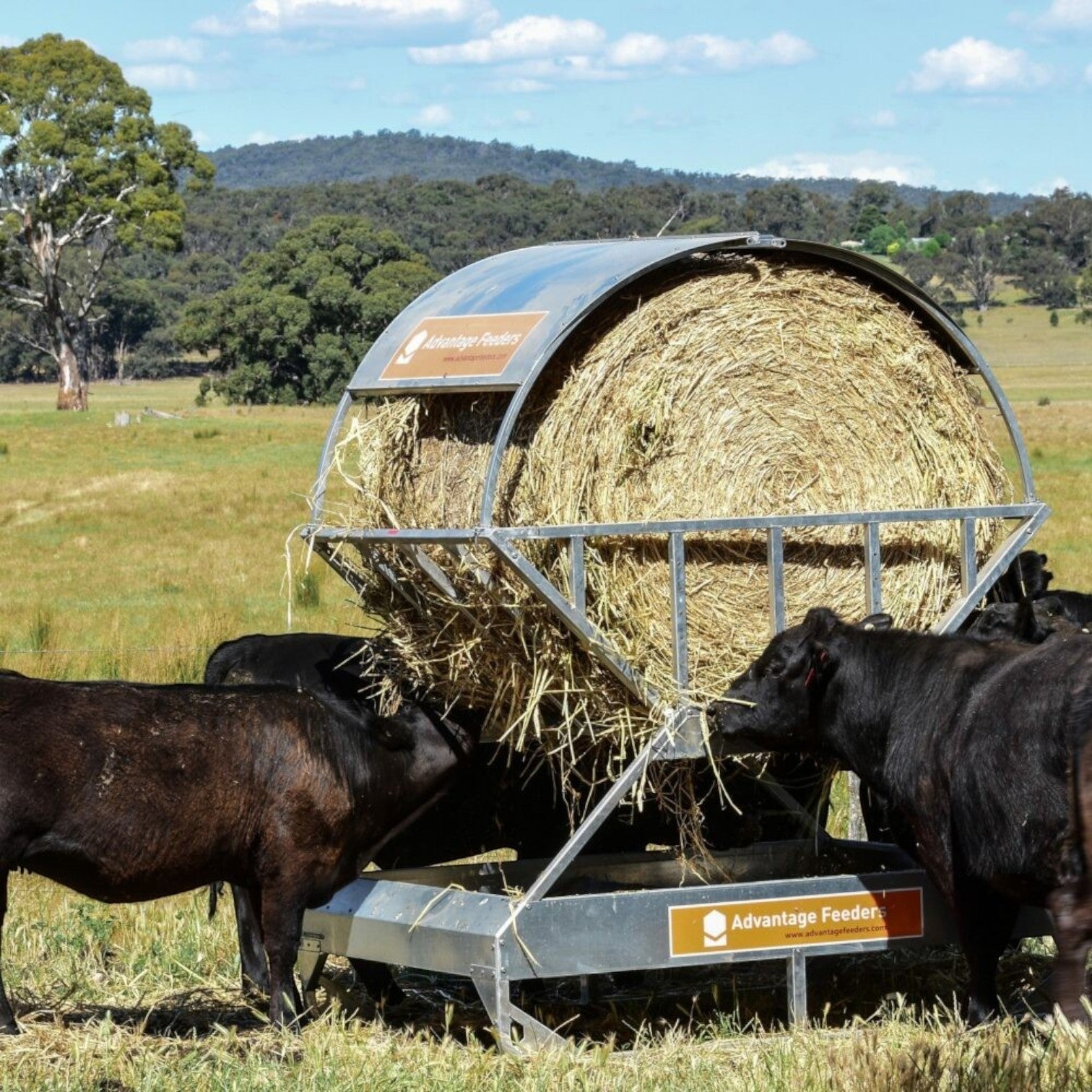 Advantage Hay Feeder Roof / Cradle & Tray