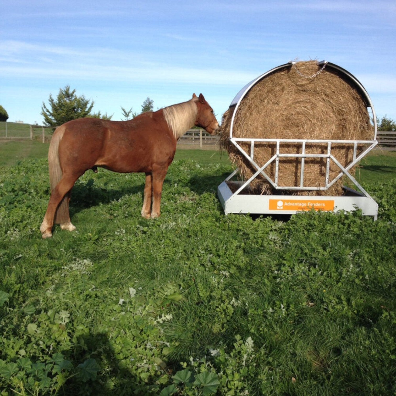Advantage Hay Feeder Roof / Cradle & Tray